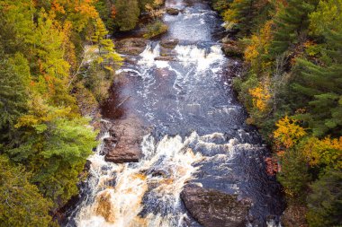 Patates Şelalesi 'nde çağlayan ve akıntıya kapılan güzel hava yolculuğu fotoğrafları ve nehir kıyısındaki yaprak döken ağaçların yaprakları..
