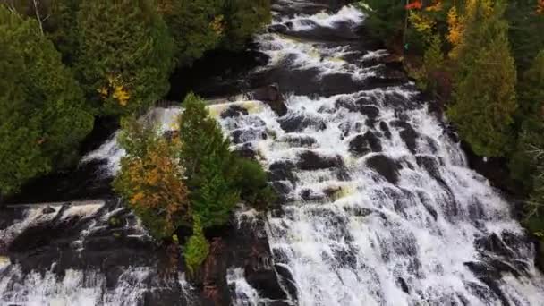 Ortanca Şube Ontonagon Nehri Nin Üzerinde Sonbahar Renklerinde Yaprakları Dökülmüş — Stok video