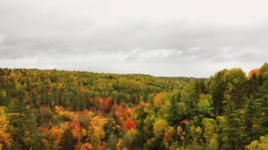 Terk edilmiş demiryolu köprüsünde ya da Ontonagon Nehri 'ni ve aşağıdaki vadiyi geçen kar motosikletli yolda sürekli yeşil ve yaprak döken ağaçlarla çevrili bir adam üzerinde uçuyor..