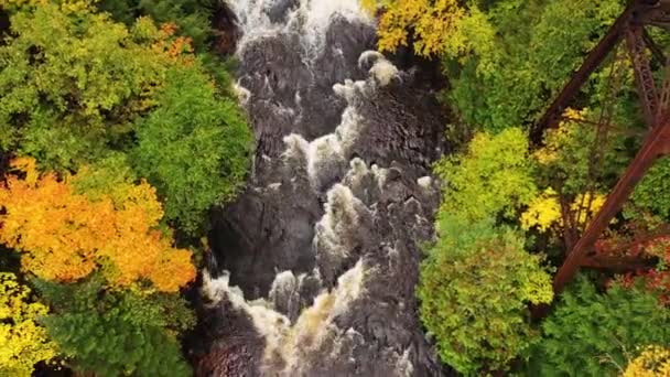 아름다운 가을이 내려온다 온토나 가로지르는 버려진 다리에서 상록수와 낙엽수 숲으로 — 비디오