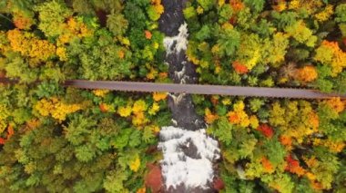 Ontonagon Nehri 'ni ve Agate Şelalesi' ni geçen terkedilmiş demiryolu köprüsünde, etrafını sürekli yeşil ve yaprak döken ağaçlarla çevrili bir adamın güzel dönen havadan bakışları..