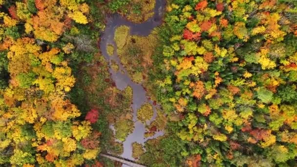 Beautiful Look Travel Aerial Carp River Pedestrian Bridge Lake Clouds — Stock Video