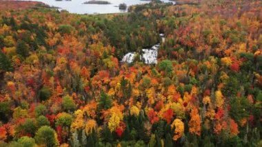 Ortanca Şube Ontonagon Nehri 'ndeki Bond Şelalesi üzerinde sonbahar renklerinde yaprakları olan yaprakları dökülen yapraklarla çevrili güzel bir yolculuk..