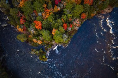 Michigan 'ın yukarısındaki Tahquamenon Nehri boyunca sonbaharda yeşil, kırmızı, sarı ve turuncu yapraklarla kaplı yarımadayı ve kıyı şeridini kaplayan ağaçların güzel manzarası.