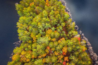 Güzel bir sonbahar seyahati arka plan havası Yukarı Michigan 'da bir göldeki bir adanın sonbahar yeşili ağaçlar arasında görünmeye başlayan bir kısmının fotoğrafına bakın..