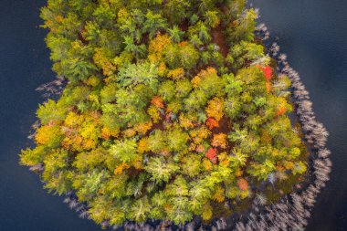 Güzel bir sonbahar seyahati arka plan havası Yukarı Michigan 'da bir göldeki bir adanın sonbahar yeşili ağaçlar arasında görünmeye başlayan bir kısmının fotoğrafına bakın..