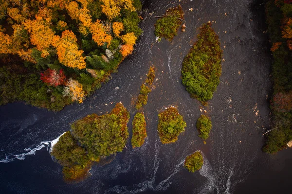 Krásný Pohled Dolů Podzimní Antény Ostrovů Řece Tahquamenon Pokryté Stromy — Stock fotografie