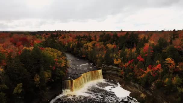 Schöne Schwenks Luftflug Über Den Wasserfall Des Tahquamenon Wasserfalls Der — Stockvideo