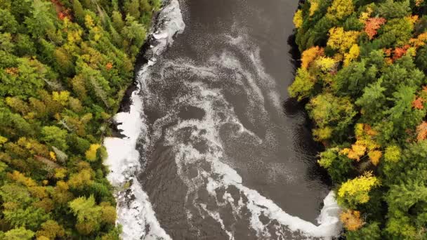 Havadan Aşağı Bakıyor Tahquamenon Nehri Aşındırıyor Sonbaharda Sonbahar Mevsiminde Nehir — Stok video