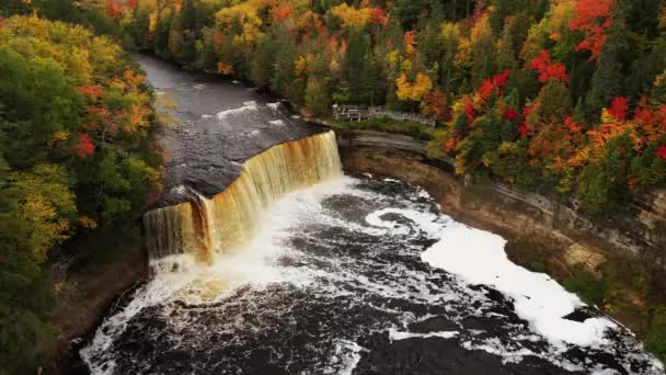 Turistler Tahquamenon Şelalesi Nin Üzerinde Süzülen Hava Akımını Izlerken Aşağıdaki — Stok video