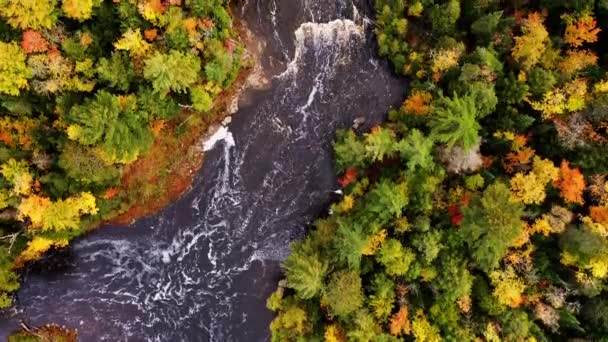 Osservazione Aerea Giù Che Vola Sopra Cascate Tahquamenon Più Basse — Video Stock