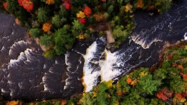 Aşağı Tahquamenon Şelalesi 'nin üzerinden uçan ve Michigan' ın yukarısında renkli turuncu, sarı, kırmızı ve yeşil yapraklı ağaçlardan oluşan bir ormana bakan havadan bir bakış..