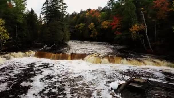 Alçak Irtifa Tahquamenon Nehri Nin Alçak Şelalelerinin Üzerindeki Havanın Üzerinden — Stok video