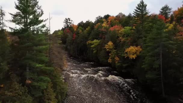 常緑樹 秋の葉を持つタフケメモン川の上の空中上昇とパンニング下の木 — ストック動画