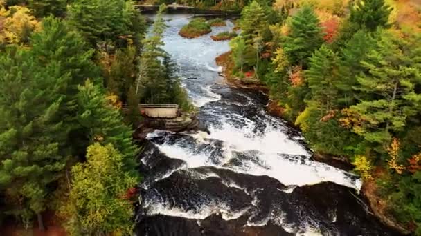 Tahquamenon Nehri Nden Aşağı Doğru Uçan Hava Dalgaları Çağlayan Şelalelere — Stok video