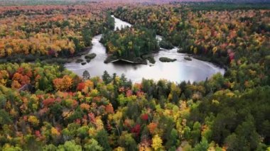 Aşağı şelalelerin, nehrin ve adaların hava sonbahar manzarası Michigan 'ın üst yarımadasındaki Tahquamenon Şelalesi' nde sonbahar renkli yapraklı ağaçlarla çevrili.