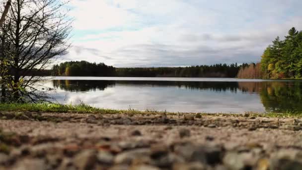 Laag Uitkijkpunt Herfstlandschap Uitzicht Kingston Lake Upper Michigan Met Groenblijvende — Stockvideo