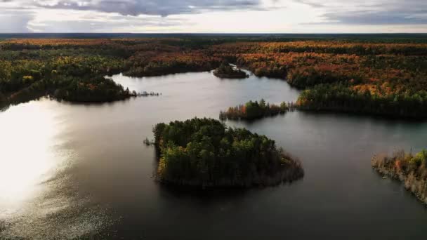 Спустошення Вниз Повітрі Острова Покритого Вічнозеленими Восени Листя Дерев Озері — стокове відео