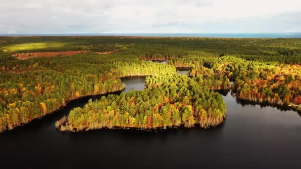 Luftflug Über Das Schlängelnde Wasser Des Kingston Lake Umgeben Von — Stockvideo