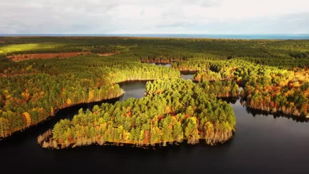 Luftflug Über Das Schlängelnde Wasser Des Kingston Lake Umgeben Von — Stockvideo