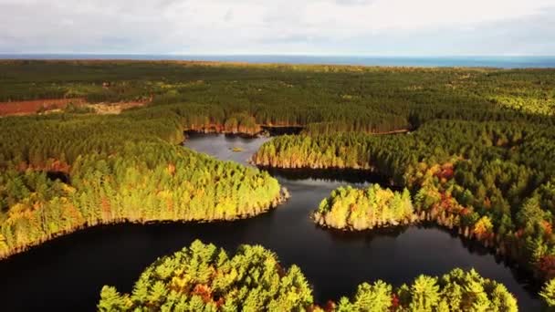 Kingston Gölü Nün Dolambaçlı Suları Üzerinde Uçan Hava Sonbahar Yaprakları — Stok video