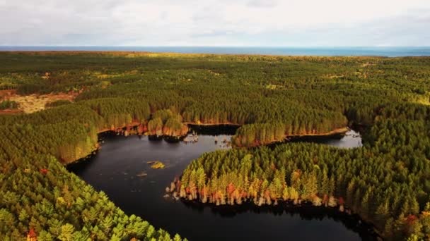 Luftflug Über Das Schlängelnde Wasser Des Kingston Lake Umgeben Von — Stockvideo