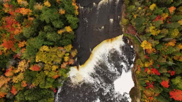 美丽的空中俯瞰从Tahquamenon上飞过瀑布瀑布瀑布瀑布 下面的观光台周围环绕着常青树和秋天的落叶 — 图库视频影像