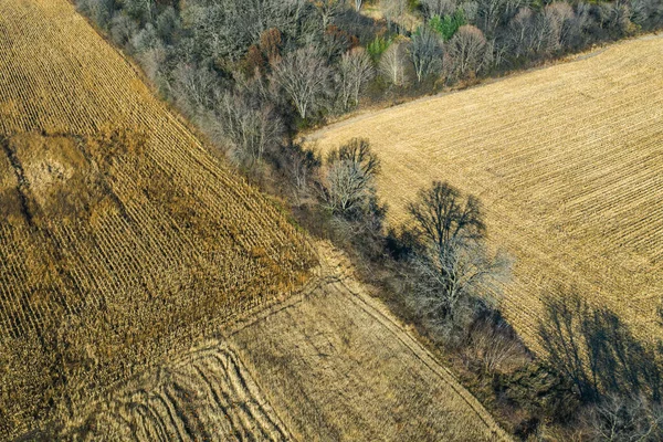 Bellissimo Sguardo Aereo Giù Campi Coltivati Mais Una Zona Zucca — Foto Stock