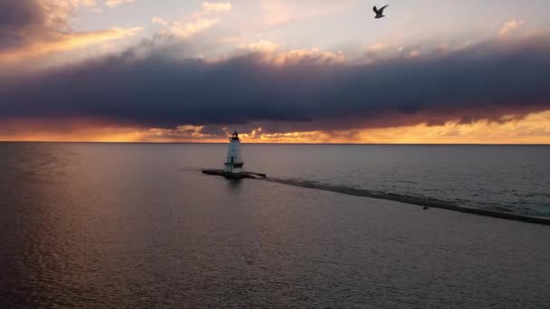 美丽的落日空中 白色的路德顿防波堤灯塔 蓝橙色的天空和乌云映照着密歇根湖的水面 就象一只海鸥在头顶飞过 — 图库视频影像