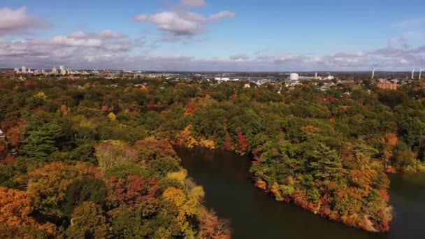 Piękna Antena Przelatująca Nad Jeziorami Opadające Liście Pokryte Drzewami Parku — Wideo stockowe