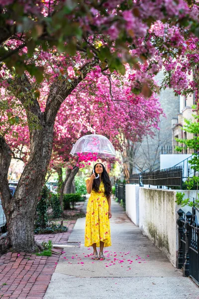 Incredible creative lifestyle portrait photograph on a pink apple blossom tree lined street as the beautiful female model in a yellow dress dumps pink flower petals on her head from a clear umbrella.