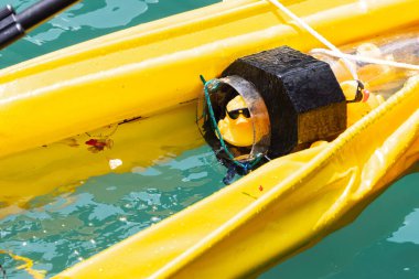 Chicago, IL - 5 Ağustos 2021: Kazanan ördekler, şehir merkezindeki yıllık Özel Olimpiyat İllinois Ducky Derbisi sırasında bitiş çizgisini geçmek için bir tüpe süzülüyor..