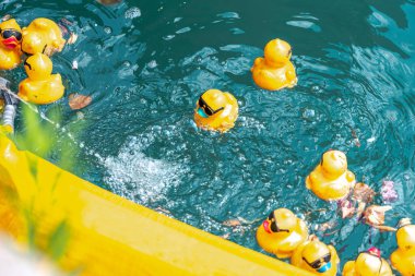 Chicago, IL - 5 Ağustos 2021: Küçük bir grup sarı lastik ördek, Chicago şehir merkezinde düzenlenen Özel Olimpiyatlar 'da onları spreyleyip sıçratırken bir su birikintisinin yanında yüzüyor..