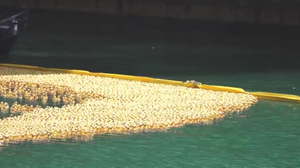 Chicago Augusti 2021 Gummiankor Flyter Och Börjar Samlas Mot Barriären — Stockvideo