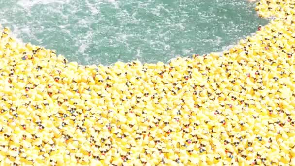 芝加哥 2021年8月5日 在一年一度的特殊奥运会期间 来自消防软管的水泼洒在戴着太阳镜的黄色橡胶鸭身上 这些鸭被推向终点 — 图库视频影像