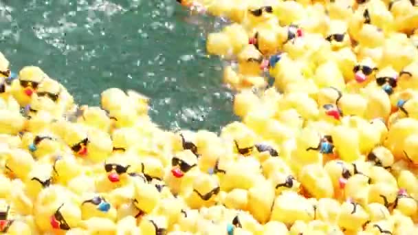 Chicago August 5Th 2021 Piles Ducks Merge Together Ride Waves — Stock Video