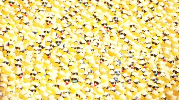 芝加哥 2021年8月5日 一年一度的伊利诺伊州特奥会期间 数千只黄色的橡胶鸭成群结队地漂浮在河上 同时也是伊利诺伊州中心城区的募款活动 — 图库视频影像