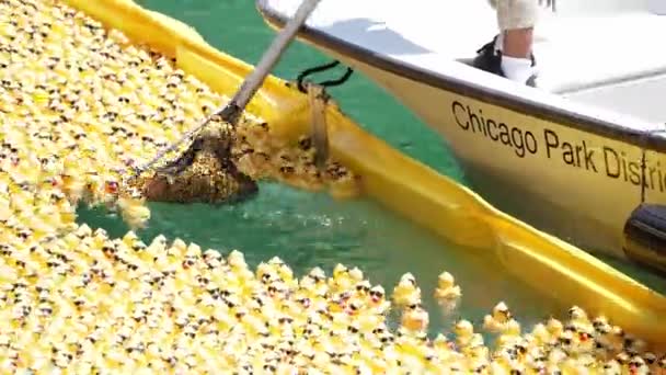 芝加哥 2021年8月5日 在一年一度的伊利诺伊州特奥会结束后 大型渔网把成堆的黄色橡胶鸭从河里捞了出来 — 图库视频影像