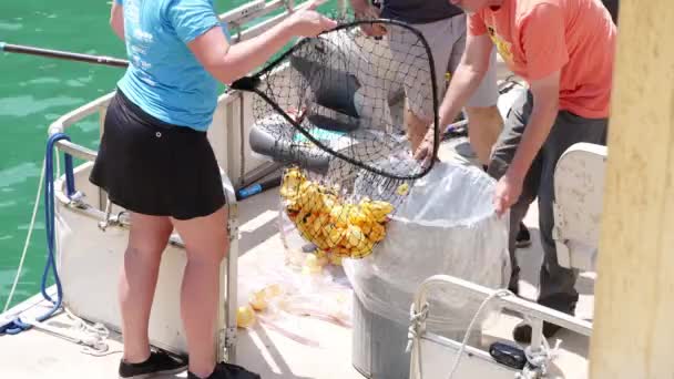 芝加哥 2021年8月5日 在一年一度的Ducky Derby募款活动结束后 奥运特奥会工作人员和志愿者在船上收集带着蚊帐的橡胶鸭 并将其装入塑料袋 — 图库视频影像