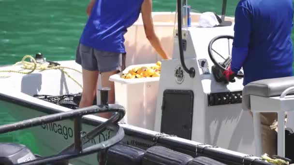 Chicago August 5Th 2021 Chicago Park District Boat Drives River — Stock Video