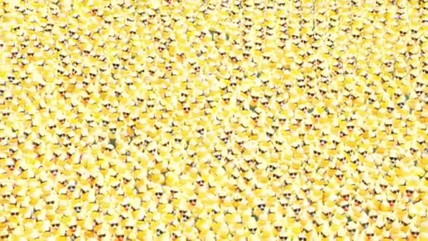 Chicago August 5Th 2021 Thousands Yellow Rubber Duckies Float Clusters — Stock Video