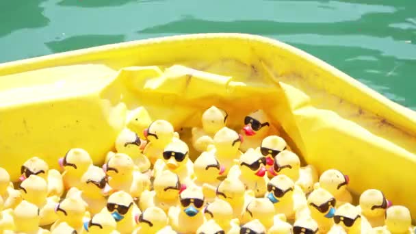 Chicago Août 2021 Des Canards Caoutchouc Heurtent Une Barrière Jaune — Video