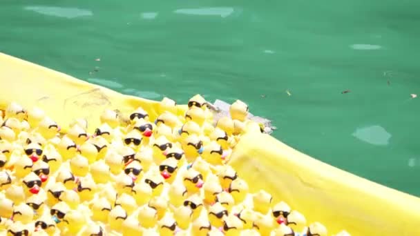 Chicago Août 2021 Des Canards Caoutchouc Heurtent Une Barrière Jaune — Video