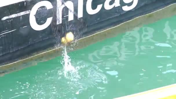 Chicago Agosto 2021 Una Red Pesca Recoge Solo Pato Goma — Vídeo de stock