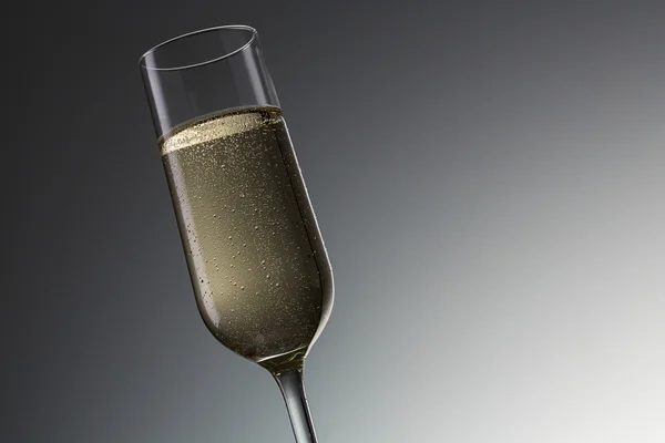 Champagneglas — Stockfoto