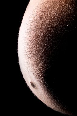 damla ile hamile kadının göbek