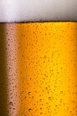 Damla altın bira 