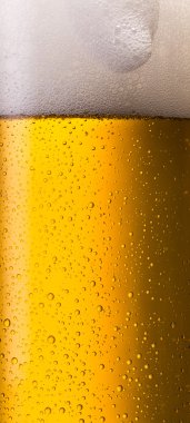 Alman bira cam çiy damlaları ve köpük ile