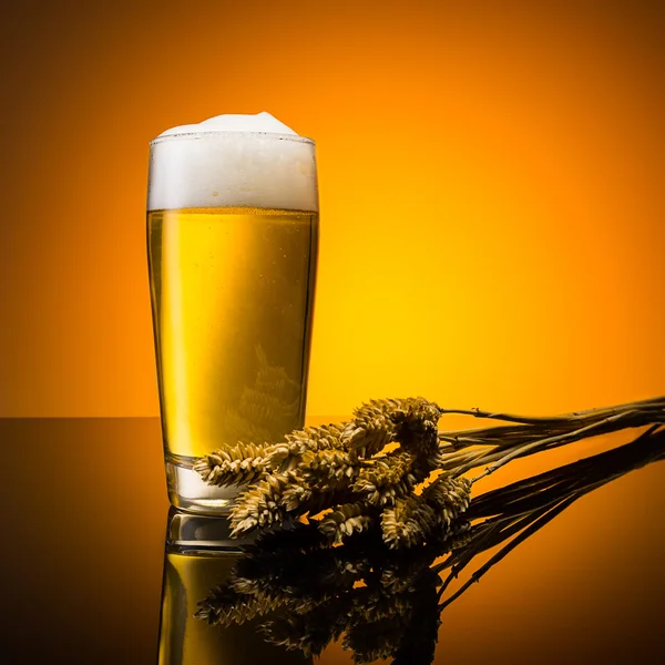 Beer with wheat ears — Stock Photo, Image