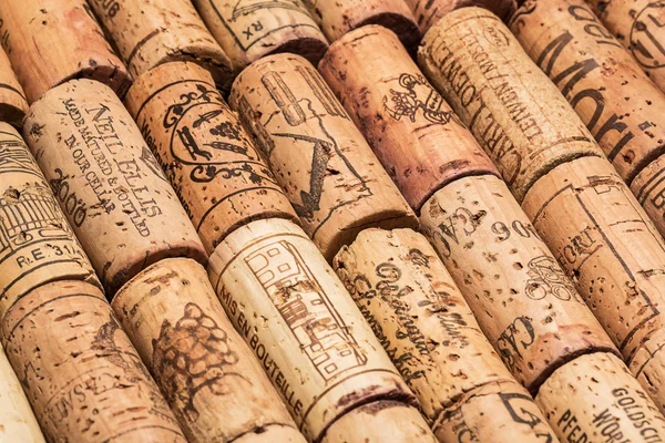 Wine corks in lines — Stock Photo, Image